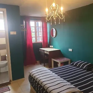 Szálloda City Inn Hotel